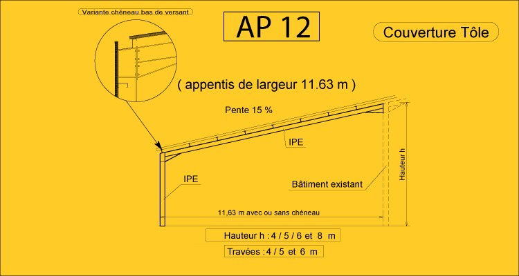 AP 12